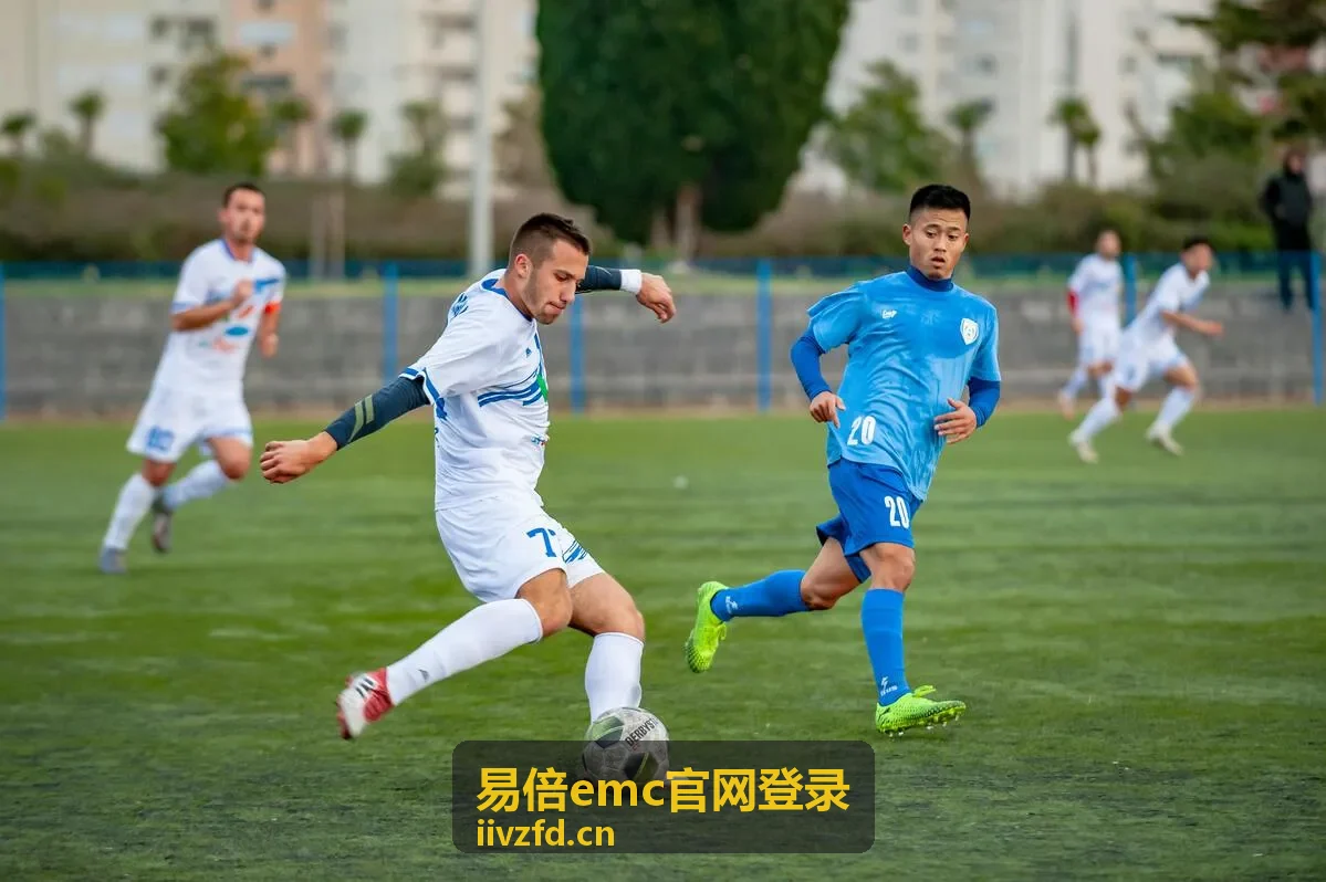 易倍emc官网登录深度数据对比分析