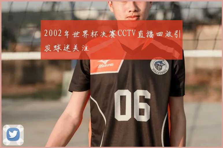 2002年世界杯决赛CCTV直播回放引发球迷关注