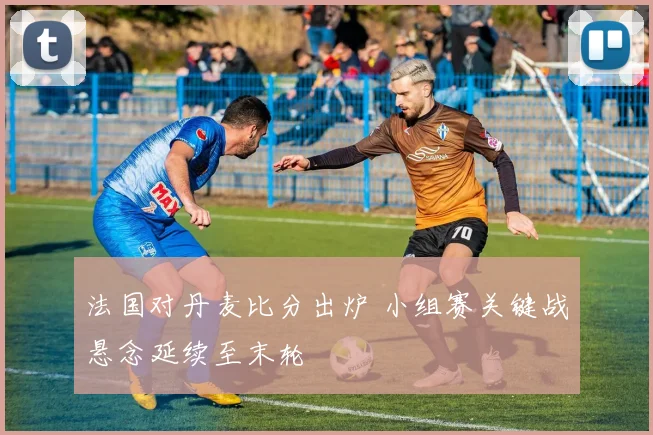法国对丹麦比分出炉 小组赛关键战悬念延续至末轮