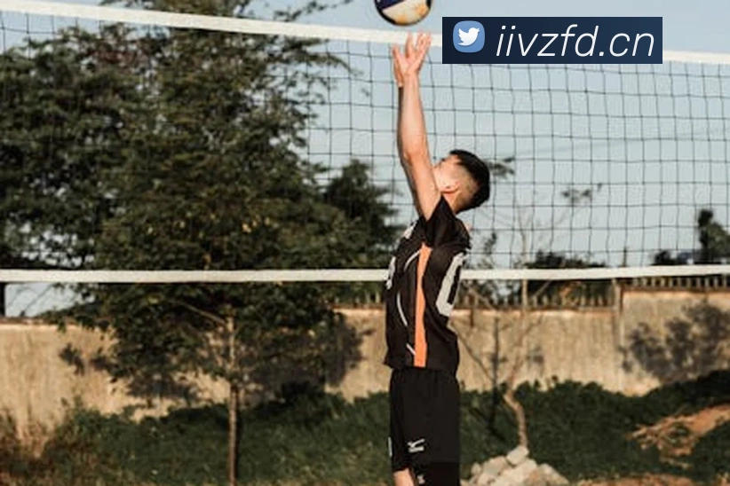 世界杯官方网络平台平台生态图